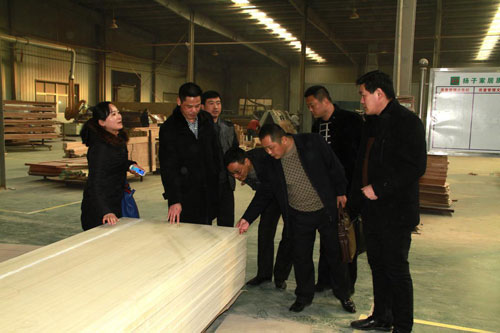 江西省交通厅领导考察我公司