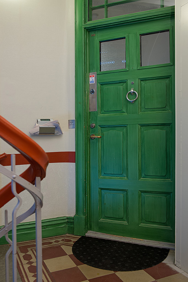 令人难以置信的美丽 北欧风格绿色木门图片